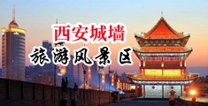 爱人体福利社中国陕西-西安城墙旅游风景区